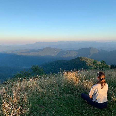 スイス Wolf Ridge Retreatヴィラ エクステリア 写真